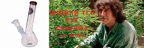 apvp Белокуриха